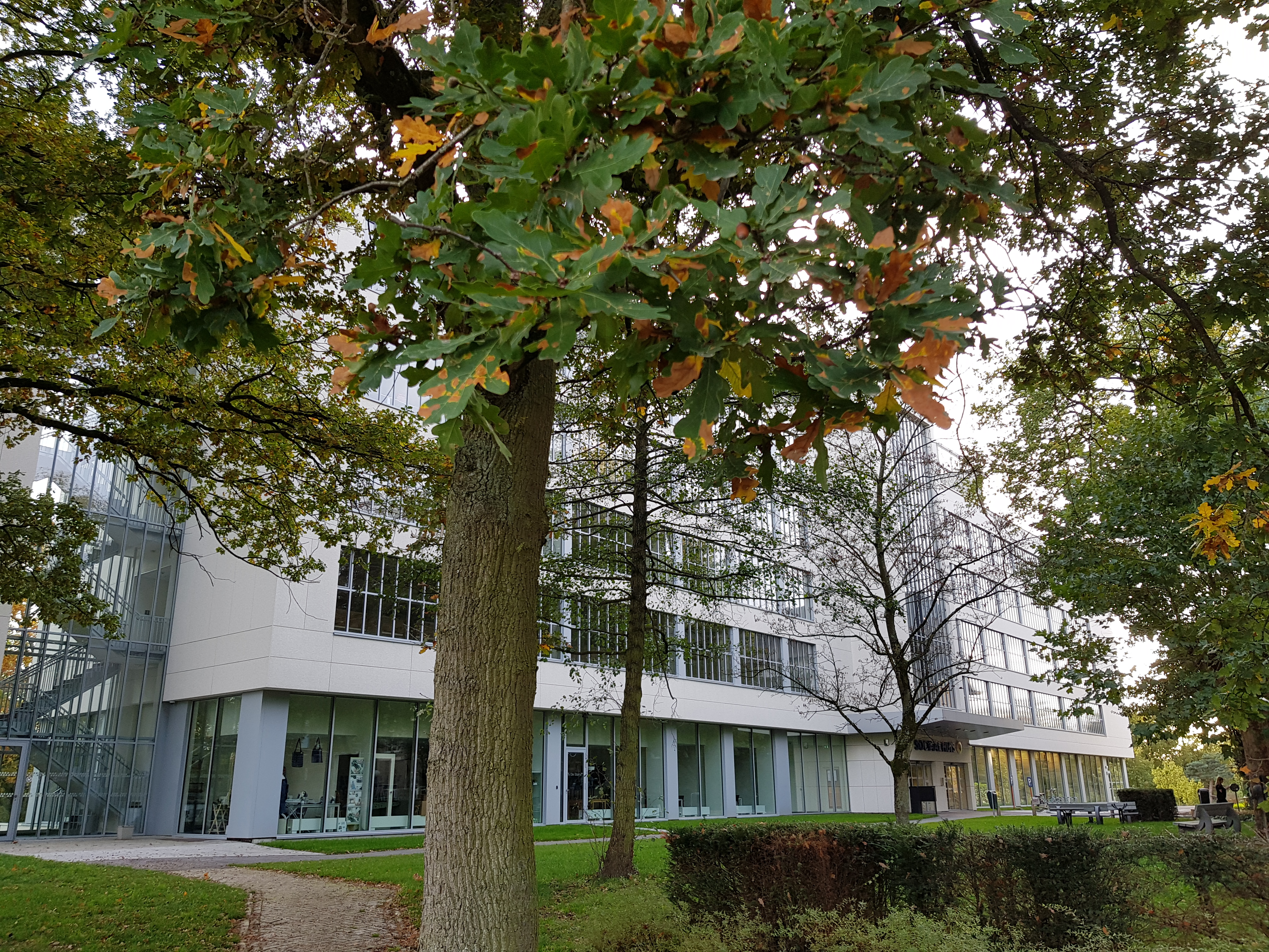 Sociaal Huis Genk